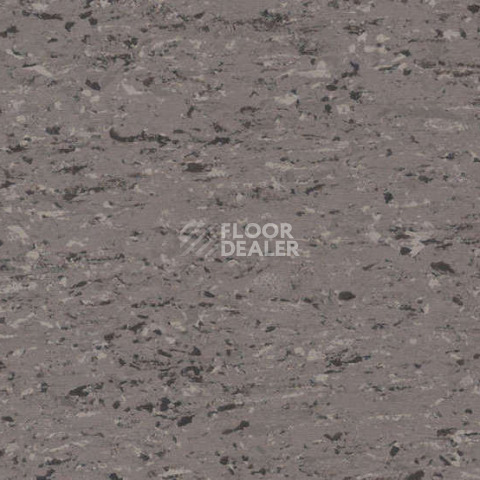 Линолеум Gerflor Mipolam Accord 0342 POZZOLO фото 1 | FLOORDEALER